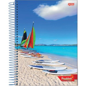 CADERNO 1/4 CAPA DURA 96FLS BRASILIDADE JANDAIA
