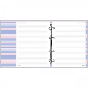 FICHÁRIO COLEGIAL CARTONADO COM ELÁSTICO SHINE FORONI