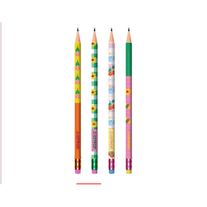 LAPIS PRETO HB C/ BORRACHA JARDIM LEO&LEO