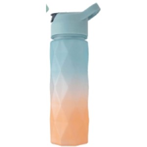 GARRAFA PLÁSTICA 600ML COM CANUDO FLIP TOP WEEZE