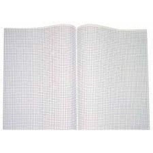 FOLHA ALMAÇO QUADRICULADA 0,5CM COM 10 FOLHAS