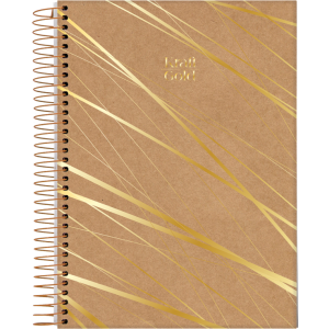 CADERNETA 1/8 80FLS CAPA DURA ESPIRAL KRAFT GOLD JANDAIA